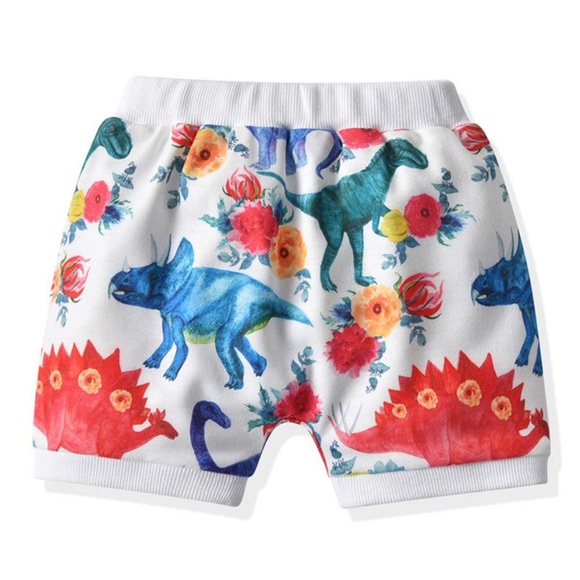 Girls Dinosaur Tee & Shorts Set - Picture 4 of 12